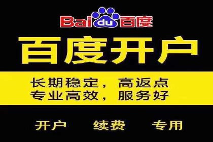 百度品牌广告的创意与执行案例